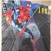 SPIDER MAN  PETER PARKER MARVEL COMICS  POSTER SMALL POSTER PICCOLO       